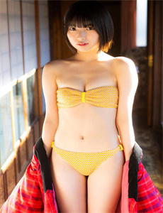 欧美成人播放器