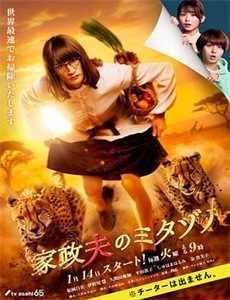 福到福到福宝见面会